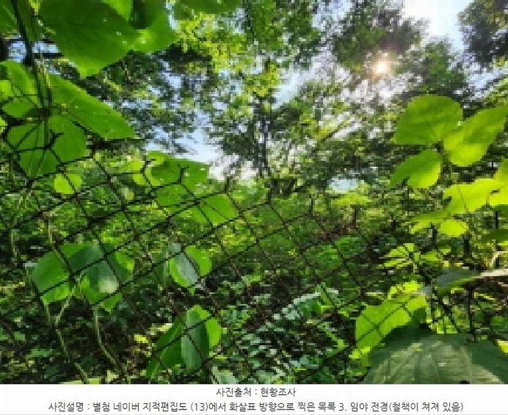 2025타경1277 경기도 의왕시 이동 산62-1 임야 경매 이미지