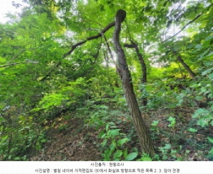 2025타경1277 경기도 의왕시 이동 산62-1 임야 경매 이미지