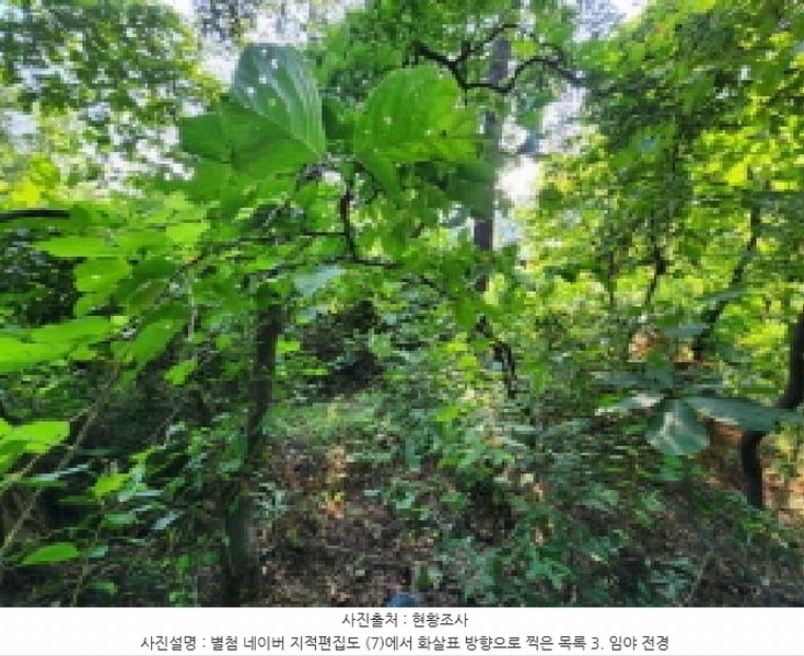 2025타경1277 경기도 의왕시 이동 산62-1 임야 경매 이미지