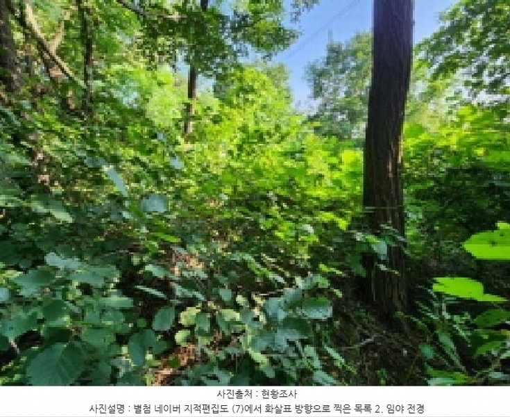 2025타경1277 경기도 의왕시 이동 산62-1 임야 경매 이미지