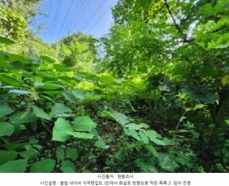 2025타경1277 경기도 의왕시 이동 산62-1 임야 경매 이미지