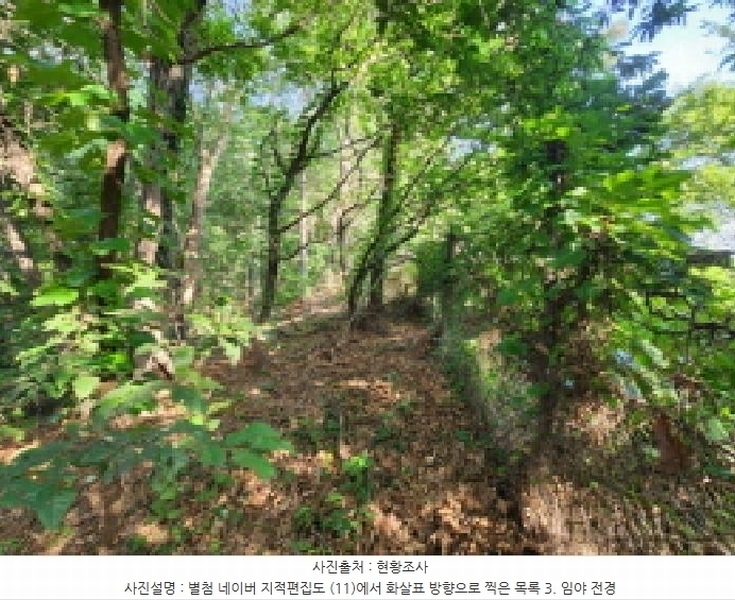 2025타경1277 경기도 의왕시 이동 산62-1 임야 경매 이미지