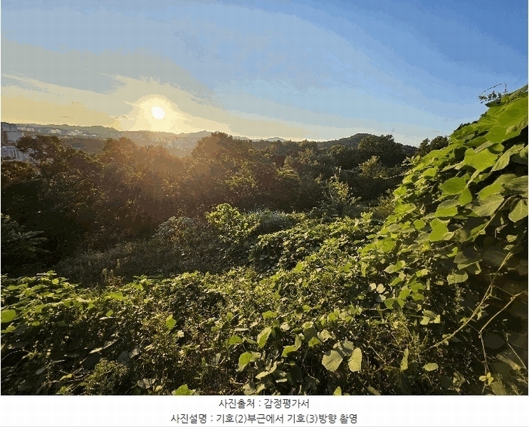 2025타경1277 경기도 의왕시 이동 산62-1 임야 경매 이미지