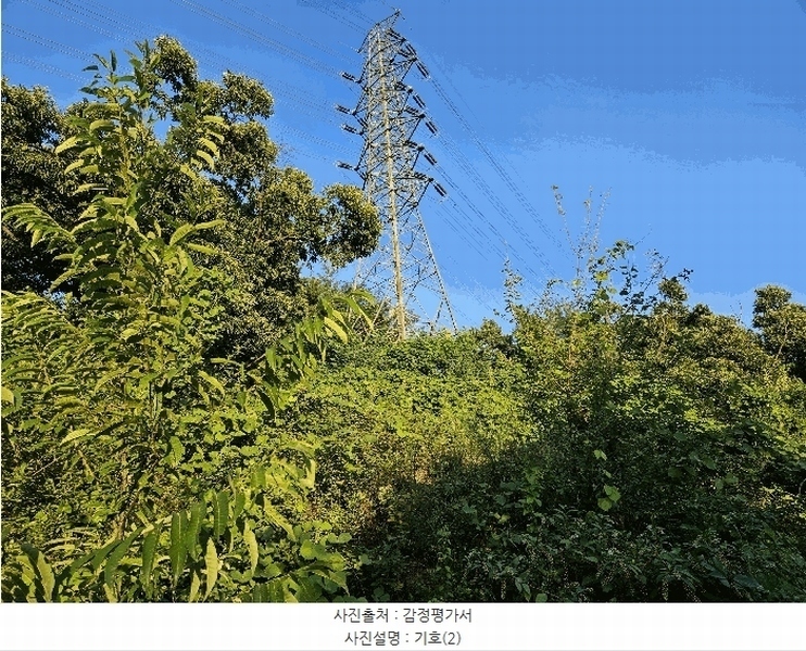 2025타경1277 경기도 의왕시 이동 산62-1 임야 경매 이미지