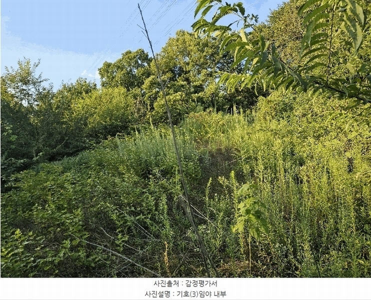 2025타경1277 경기도 의왕시 이동 산62-1 임야 경매 이미지