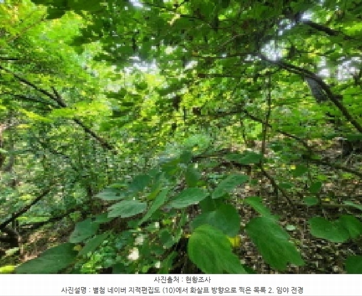 2025타경1277 경기도 의왕시 이동 산62-1 임야 경매 이미지