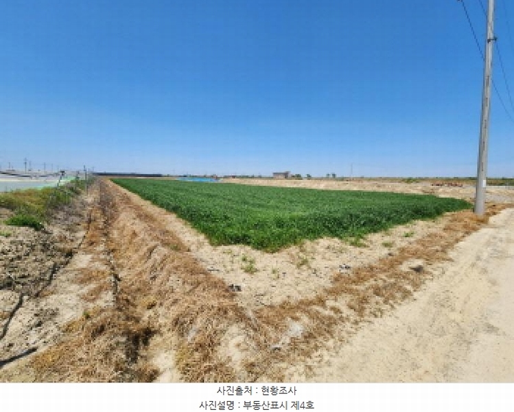 2025타경198 전북특별자치도 정읍시 감곡면 삼평리 590 농지 경매 이미지