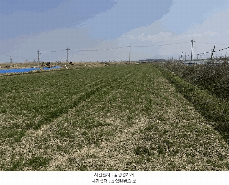 2025타경198 전북특별자치도 정읍시 감곡면 삼평리 590 농지 경매 이미지