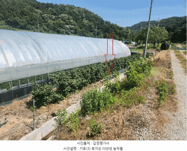 2025타경30264 전북특별자치도 정읍시 산외면 정량리 114-14 농지 경매 이미지