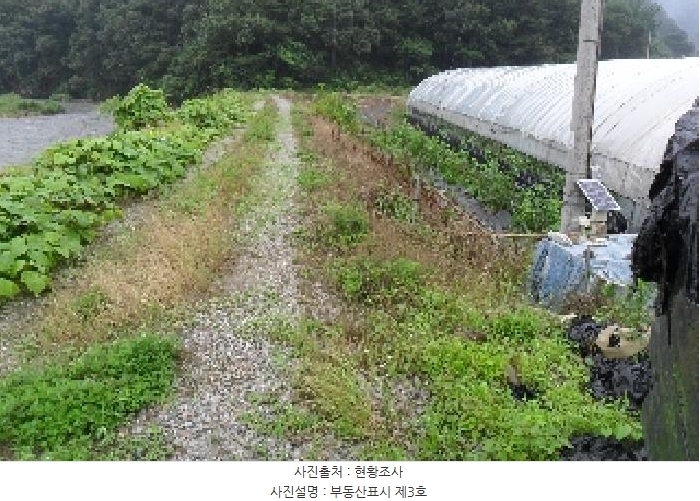 2025타경30264 전북특별자치도 정읍시 산외면 정량리 114-14 농지 경매 이미지