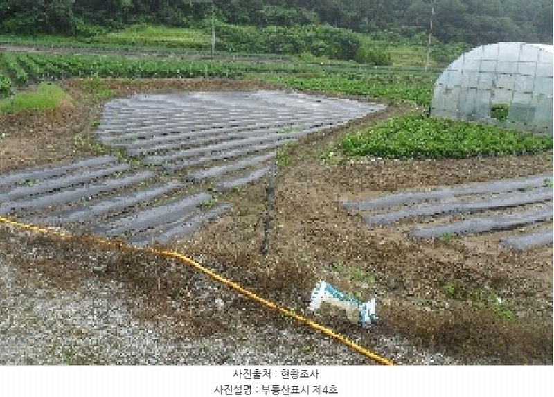 2025타경30264 전북특별자치도 정읍시 산외면 정량리 114-14 농지 경매 이미지