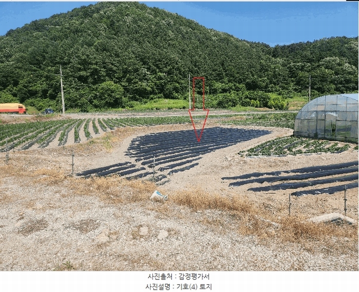 2025타경30264 전북특별자치도 정읍시 산외면 정량리 114-14 농지 경매 이미지