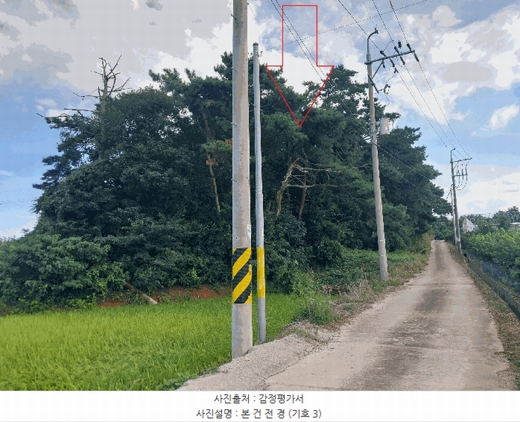 2025타경30419 전북특별자치도 부안군 줄포면 난산리 737-1 임야 경매 이미지