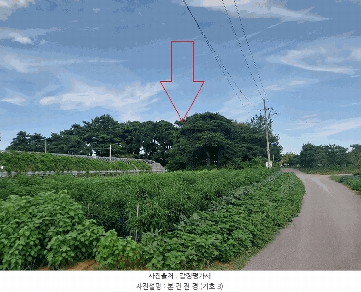 2025타경30419 전북특별자치도 부안군 줄포면 난산리 737-1 임야 경매 이미지
