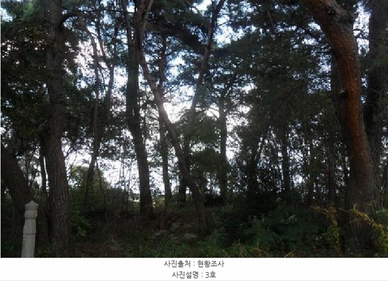 2025타경30419 전북특별자치도 부안군 줄포면 난산리 737-1 임야 경매 이미지