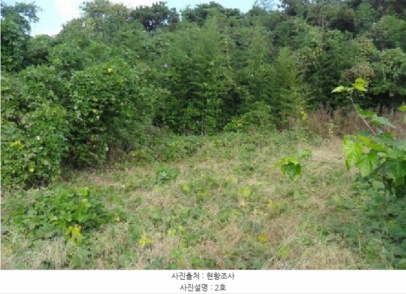 2025타경30419 전북특별자치도 부안군 줄포면 난산리 522-3 임야 경매 이미지