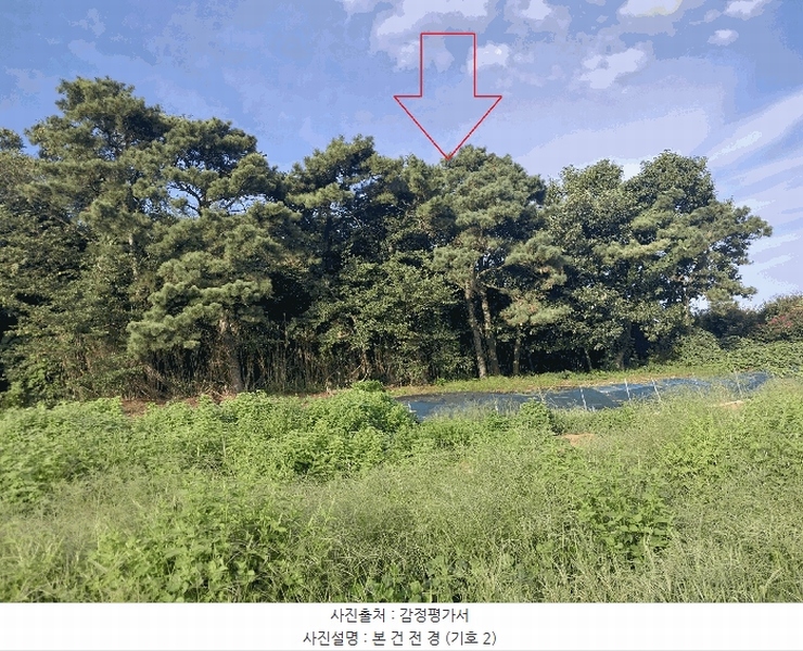 2025타경30419 전북특별자치도 부안군 줄포면 난산리 522-3 임야 경매 이미지