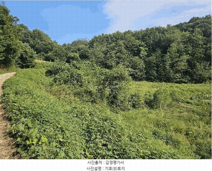 2025타경4278 충청북도 괴산군 청안면 청용리 115 농지 경매 이미지