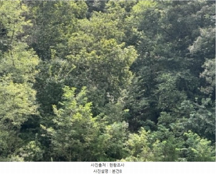 2025타경4278 충청북도 괴산군 청안면 청용리 115 농지 경매 이미지