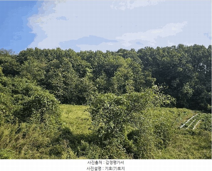 2025타경4278 충청북도 괴산군 청안면 청용리 109 농지 경매 이미지