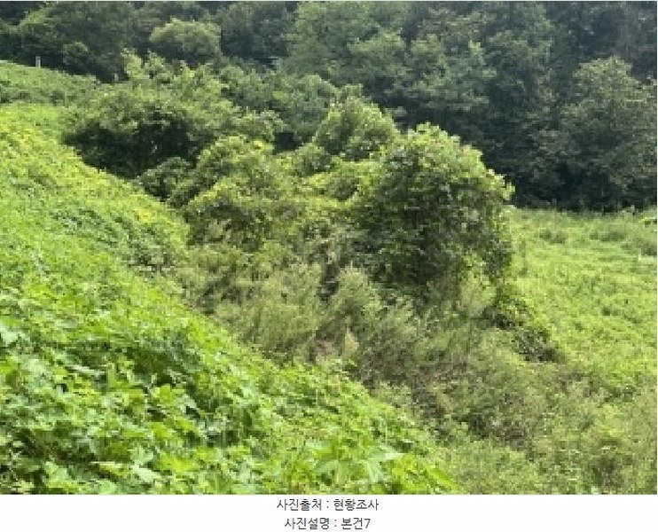 2025타경4278 충청북도 괴산군 청안면 청용리 109 농지 경매 이미지