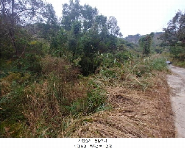 2025타경503537 충청남도 금산군 부리면 수통리 40 농지 경매 이미지
