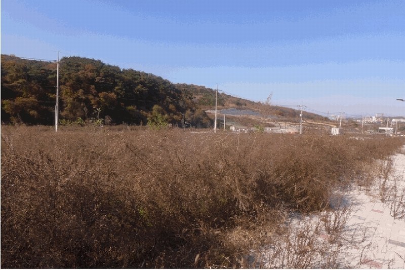 2025타경543 경상북도 경주시 천군동 864-2 농지 경매 이미지