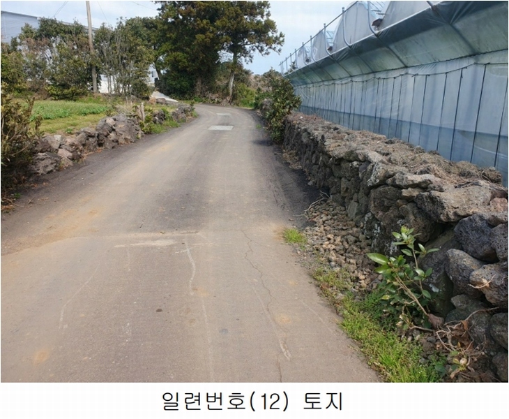 2025타경1007 제주특별자치도 서귀포시 성산읍 삼달리 381-3 도로 경매 이미지