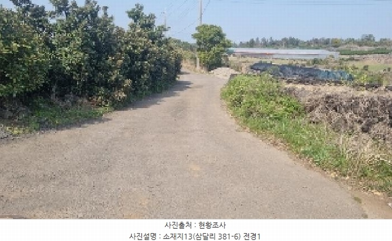 2025타경1007 제주특별자치도 서귀포시 성산읍 삼달리 381-3 도로 경매 이미지