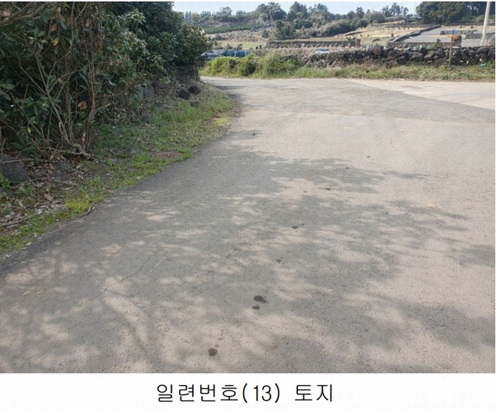 2025타경1007 제주특별자치도 서귀포시 성산읍 삼달리 381-3 도로 경매 이미지