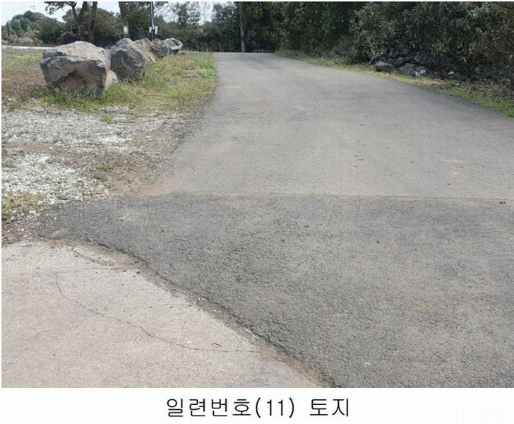 2025타경1007 제주특별자치도 서귀포시 성산읍 삼달리 381-3 도로 경매 이미지