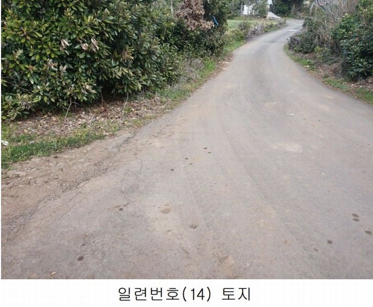 2025타경1007 제주특별자치도 서귀포시 성산읍 삼달리 381-3 도로 경매 이미지