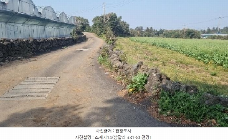 2025타경1007 제주특별자치도 서귀포시 성산읍 삼달리 381-3 도로 경매 이미지