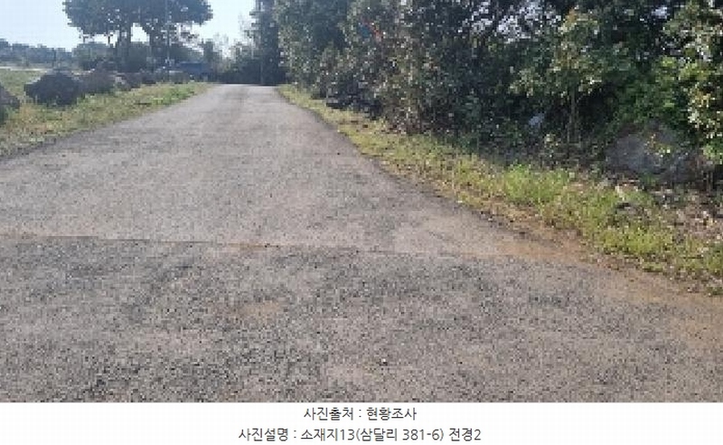2025타경1007 제주특별자치도 서귀포시 성산읍 삼달리 381-3 도로 경매 이미지