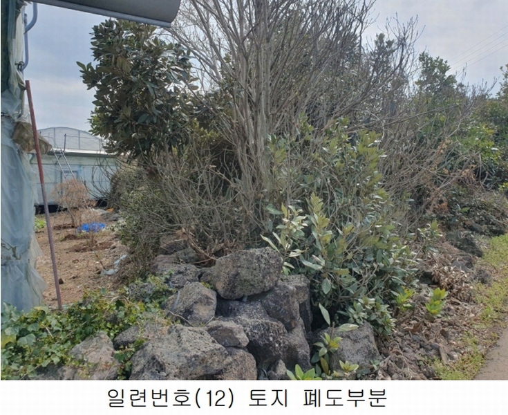 2025타경1007 제주특별자치도 서귀포시 성산읍 삼달리 381-3 도로 경매 이미지