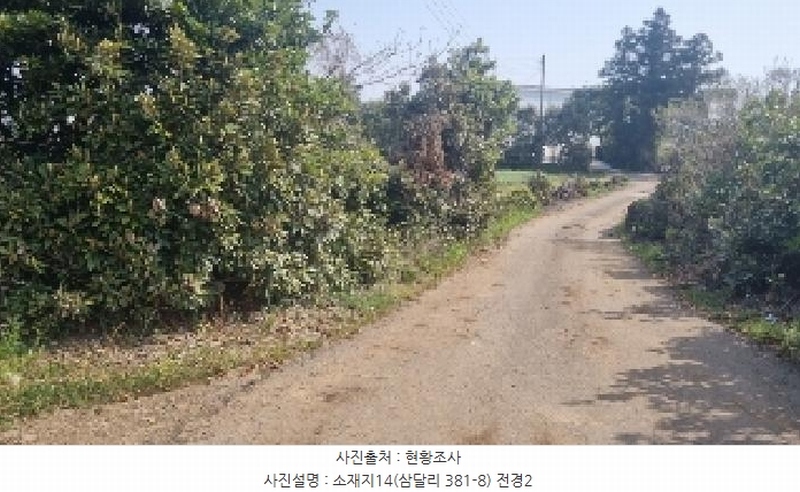 2025타경1007 제주특별자치도 서귀포시 성산읍 삼달리 381-3 도로 경매 이미지