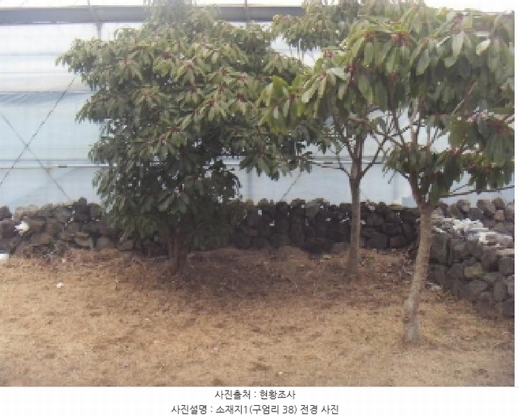2024타경36949 제주특별자치도 제주시 애월읍 구엄리 38 주택 경매 이미지