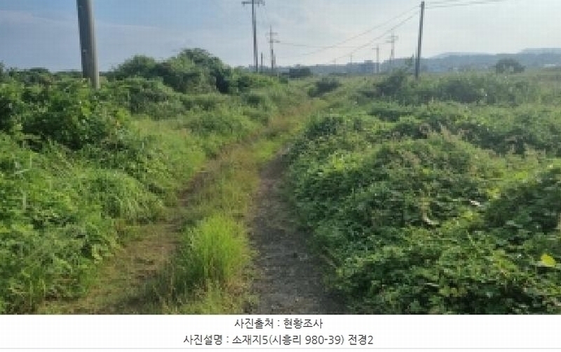 2025타경1598 제주특별자치도 서귀포시 성산읍 시흥리 980-39 임야 경매 이미지
