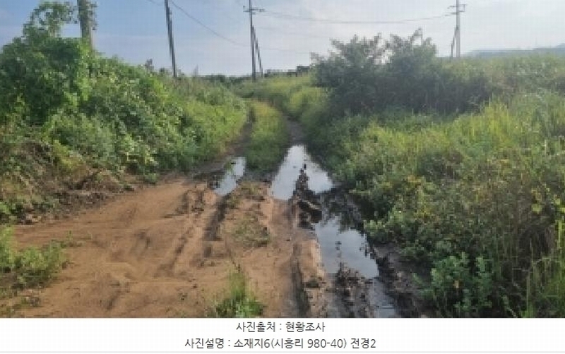 2025타경1598 제주특별자치도 서귀포시 성산읍 시흥리 980-39 임야 경매 이미지
