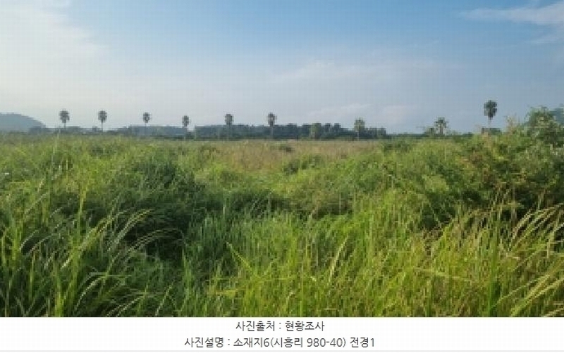 2025타경1598 제주특별자치도 서귀포시 성산읍 시흥리 980-39 임야 경매 이미지
