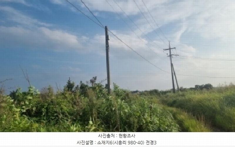 2025타경1598 제주특별자치도 서귀포시 성산읍 시흥리 980-39 임야 경매 이미지
