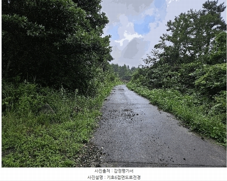 2025타경1696 제주특별자치도 서귀포시 안덕면 상천리 722 임야 경매 이미지