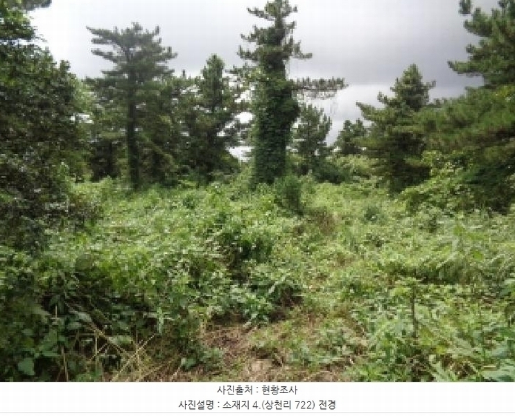 2025타경1696 제주특별자치도 서귀포시 안덕면 상천리 722 임야 경매 이미지