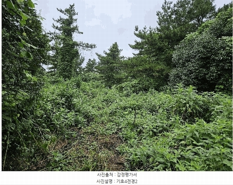 2025타경1696 제주특별자치도 서귀포시 안덕면 상천리 722 임야 경매 이미지