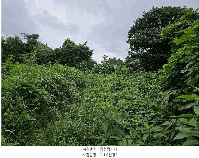 2025타경1696 제주특별자치도 서귀포시 안덕면 상천리 722 임야 경매 이미지