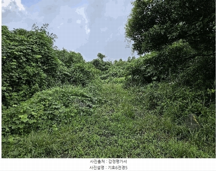 2025타경1696 제주특별자치도 서귀포시 안덕면 상천리 722 임야 경매 이미지