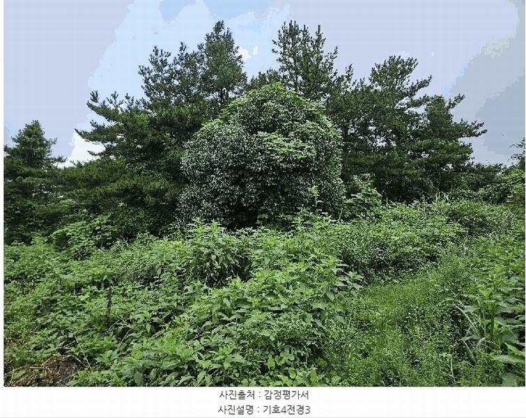2025타경1696 제주특별자치도 서귀포시 안덕면 상천리 722 임야 경매 이미지