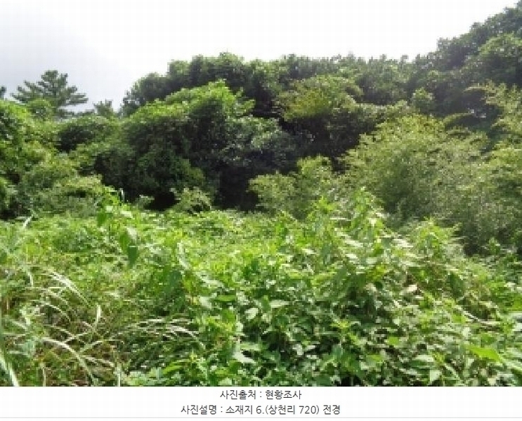 2025타경1696 제주특별자치도 서귀포시 안덕면 상천리 722 임야 경매 이미지