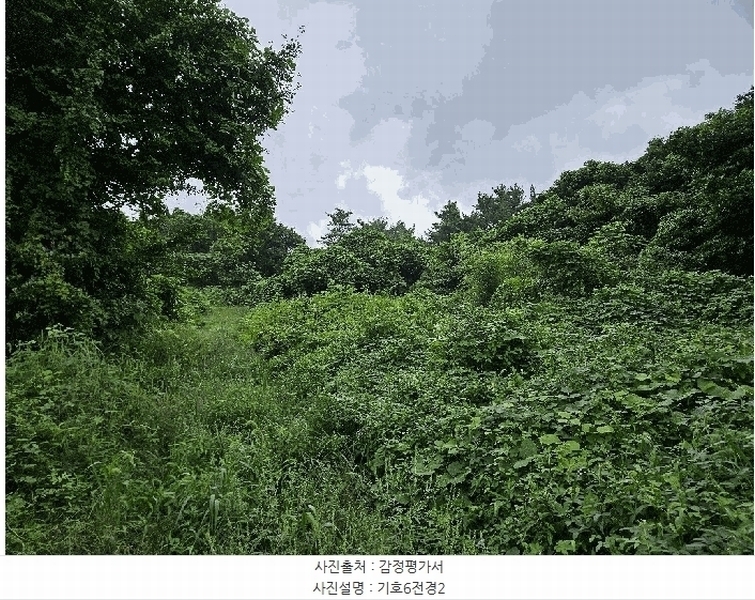 2025타경1696 제주특별자치도 서귀포시 안덕면 상천리 722 임야 경매 이미지