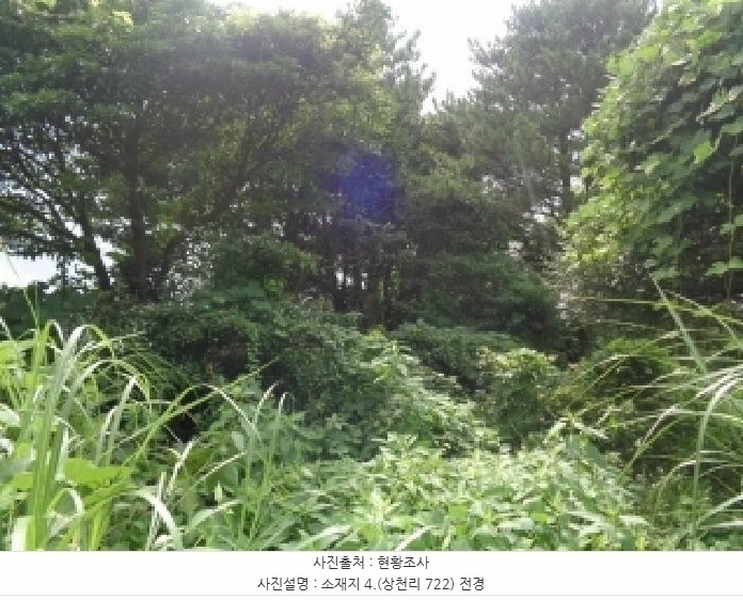 2025타경1696 제주특별자치도 서귀포시 안덕면 상천리 722 임야 경매 이미지